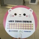 비나인동물병원 이미지