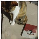 부성상회 네이버블로그