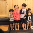 숲속의 돌담 이미지