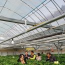 권오선농장 이미지