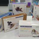 성동동물약국 이미지