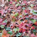 정다운모텔 | 경주독채펜션 유휴정이 숙박업으로 성공하고 싶다면?