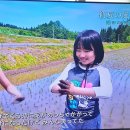 올 4K,NHK 지역 소식 이미지