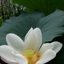 대원특장 이미지