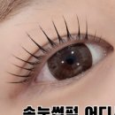 상남동185 이미지