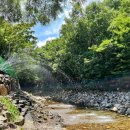 내를 건너서 숲으로 캠핑장 이미지