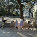 삼무검도관 이미지