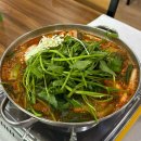 쌩큐마트 | 1박2일 충북단양여행 🐸 (패러글라이딩 못한 후기포함🥺)