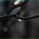 아름다운 산장 이미지