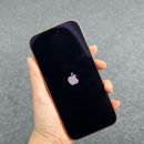 오렌지 | 아이폰17프로 오렌지 후기 실제 사용 후 아쉬운 건..