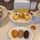 군침돌개 이미지