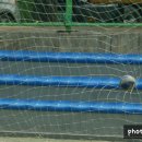 광탄중학교 이미지