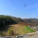 대암마을회관 이미지