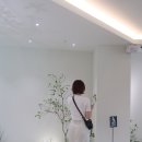 비피엠오브서울