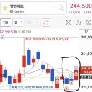 바이앤셀