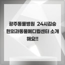 24시김승현외과동물메디컬센터 | 광주동물병원 24시김승현외과동물메디컬센터 소개해요!!