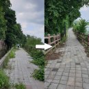 학사 5리 이미지