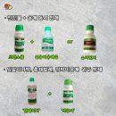 노지하우스 이미지