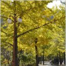 향원장여관 이미지