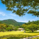 진도 운림산방 이미지