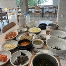 배꽃길 41 이미지