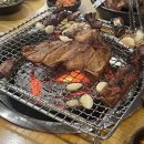 돼지한마리 이미지