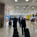 나눔과 머뭄, 도심을 치유하다 | 호주 유심 추천 호주 유심 꿀팁 시드니 공항 유심 구매 호주 여행 준비물 OPTUS 유심 사용 후기