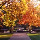 가을이네 이미지