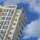 행복주단 이미지