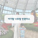한국쿄와기린(주) | 빈원더스 빈펄 숙박자/ 오픈런/ 19개월 아기 유모차/ 기린 먹이주고 온 후기