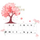 속솜스테이 이미지