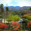 처남목장 이미지