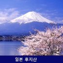 너울거리는 커피잔 속 그대 모습 이미지