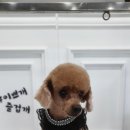 이쁘개즐겁개 네이버블로그