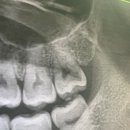 여주이즈치과의원 이미지