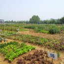 봄이네농장 이미지