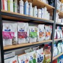 제갈견 동물병원 이미지