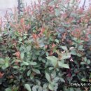 구실농장 이미지