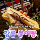 성덕포남로 | 강릉 붕어빵 강릉 포남동 크로와상 붕어빵 맛집 포장 솔직 후기 | 위치 메뉴 주차