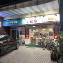 진이애견 이미지