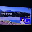 홍시노래연습장 이미지