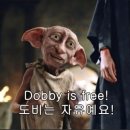 이즈프리