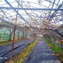 성립농장 이미지