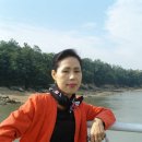 인천공항초등학교 이미지