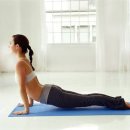 Y3 복싱클럽 이미지