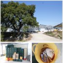 김종규 농장 이미지