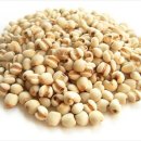 더함한의원 이미지