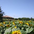 미란농장 이미지