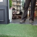 자연(애)장수 이미지