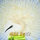까치복집하종률 이미지